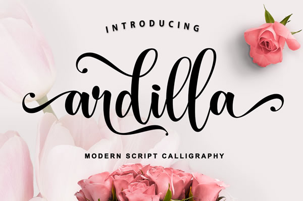Ardilla Font: Your Go-To for Handwritten Elegance